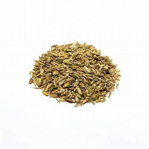 Herbal Extracts Fennel Extract Powder