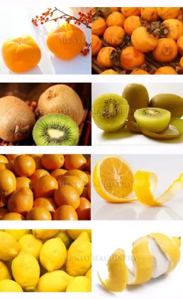 Wholesale Fruit Peeler Machine - Orange, Lemon, and Persimmon Peeler