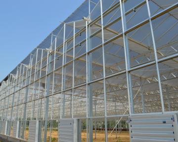 Scientific Research Agricultural Planting Greenhouse