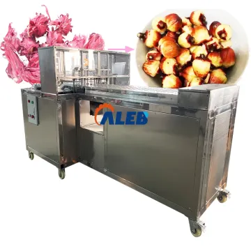 Core Removing and Separating Machine: Apricot, Amla ( Gooseberry) Seed Destoning and Pitting Equipment