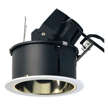 Retail store lighting fixture 5 inches adjustable downlight