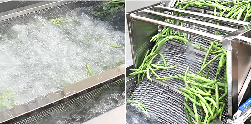 fruit and vegetable washing machine