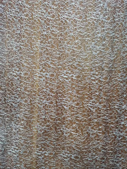 100% Nylon Power Net Mesh Fabrics