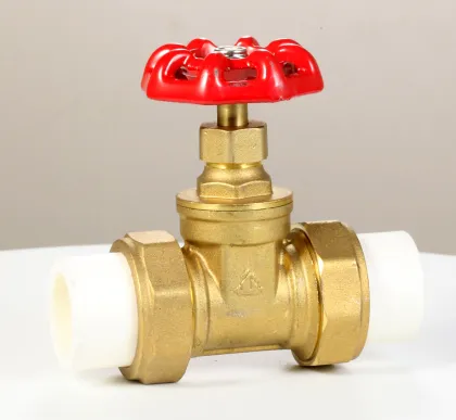 Brass gate valve