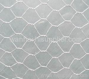 Hex Netting Used In Poultry Cage 
