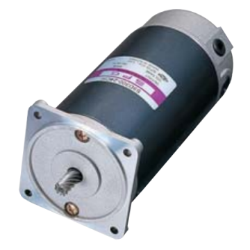 300W Standard DC Motor