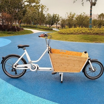 Elektrische fiets met Bafang-motor: 250W Midden-drive levering driewieler voor kinderwagen en algemeen gebruik