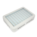 Red &amp; Blue 300w Led Grow Light do komercyjnego wzrostu