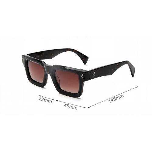 Wide Paddle Temples Bold Acetate Sunglasses