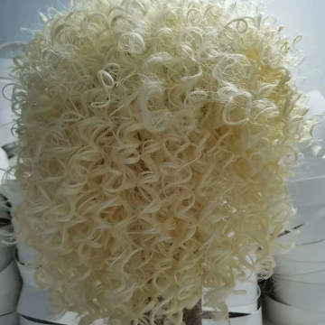Blond Curly Lace Front Wig