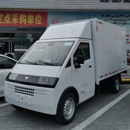 D08 Conventional van electric vehicle