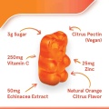 OEM/ODM Echinacea Extract Immune Support Vitamin C Gummies