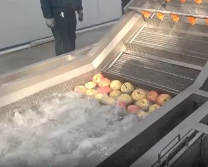 Apple washing and drying line