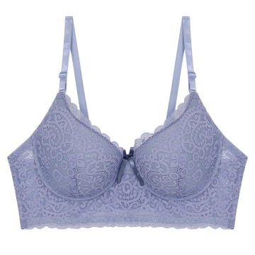 Niestandardowy stanik z tworzywa sztucznego do gorącej sprzedaży Big Women Lace Bra