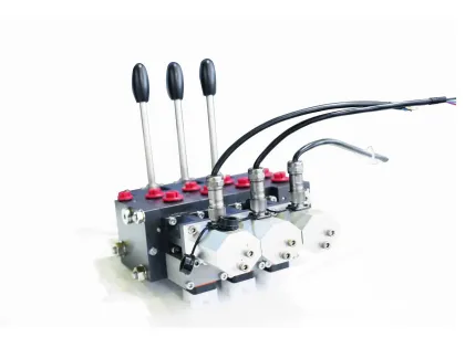 Second HAWE Hydraulic Valve