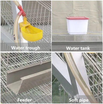 Poultry Quail Equipment: Layer Quail Cage with Automatic Feeder