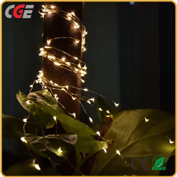 White LED Lights with Christmas Lights