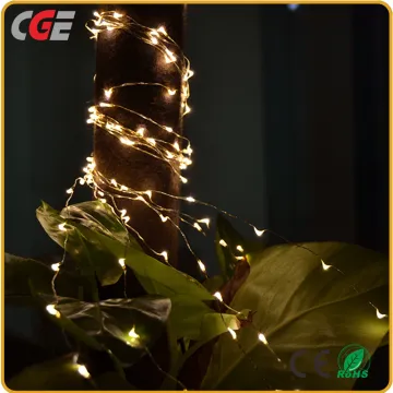 White LED Lights with Christmas Lights