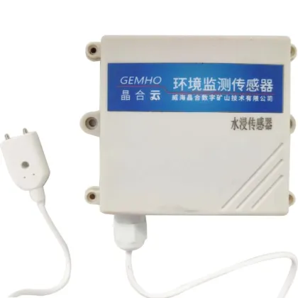 Water Leakage Sensor for Equipment Cabinets: Detecting Aqueous Solutions and Liquid Water