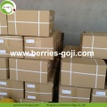 Factory Supply Fruits Dried Mechanical Drying Goji Berry