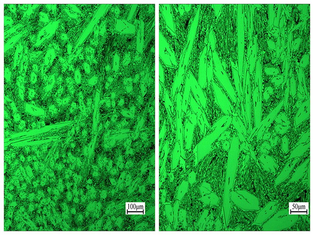 Chromium Carbide Overlay Micro Structure 100X&200X