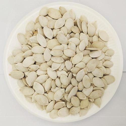 High Quality Pumpkin Seeds