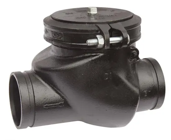 BS Grooved Check Valve
