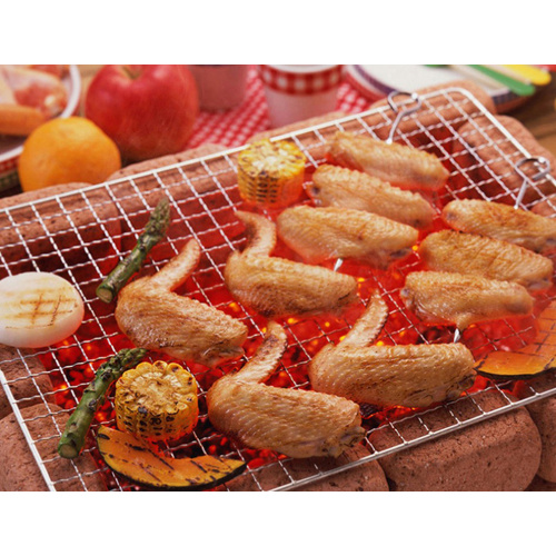 Metal Wire Square Barbecue Grill