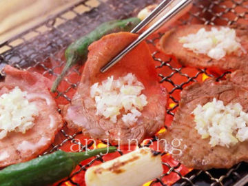 barbecue net grill