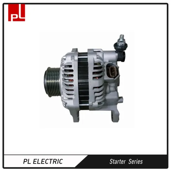 ZJPL Navara 12V 100A car alternator