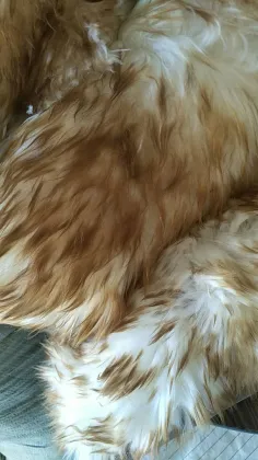 China Factory Direct Sale Natural Feather Wool Duster Wooden Handle Lambswool Duster