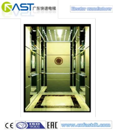 FAST Famous Brand good lift elevator