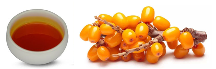 Sea buckthorn fruit oil 2