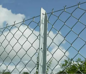 Chain link fence