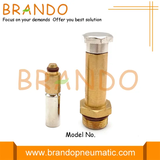 Automobile Brass Plunger Tube Stainless Steel Moving Core