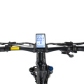 Fat Tire High Power Offroad Electric Mountainbike