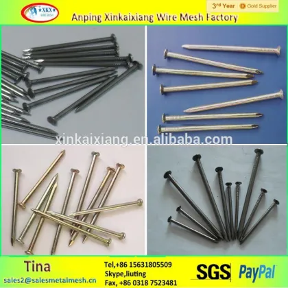 Galvanized china iron nails , common china iron nails , pure china iron nails