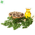 Moringa Oleifera Seed Oil Pembawa Minyak Kosmetik