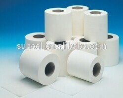 Toilet Tissue Paper/Toilet Roll/Bathroom Tissue