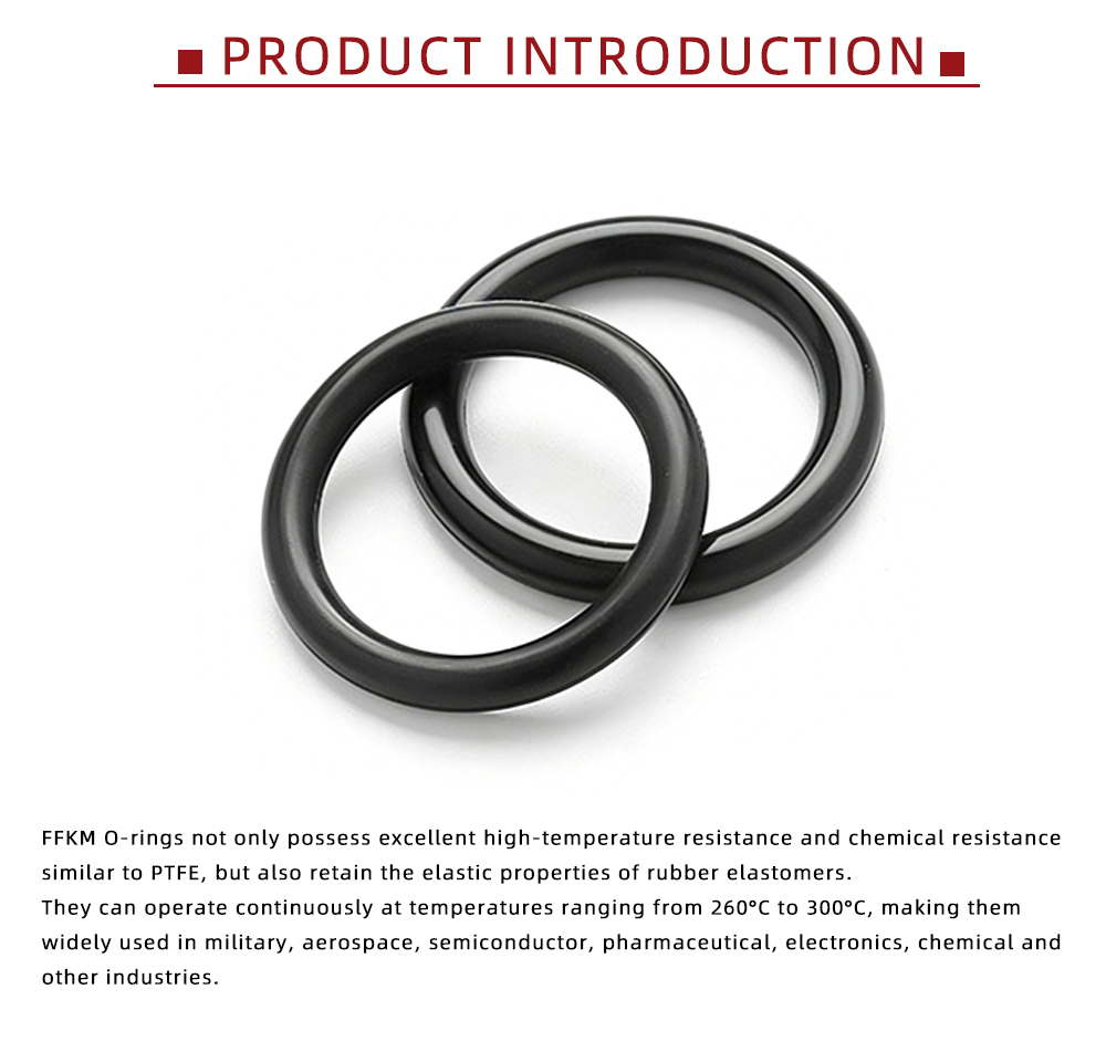 Chemical Resistant FFKM O-Ring Gaskets x