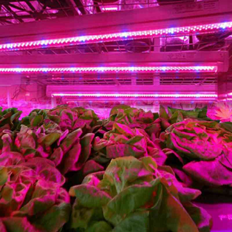 Led Plant Grow Light Application