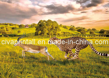 Lenticular Card With Fliping Image Effect (02)