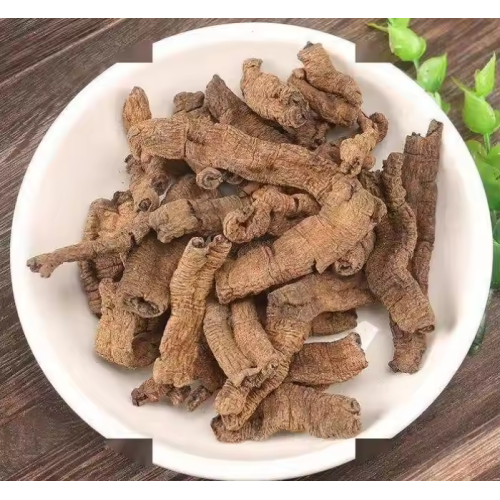 Bacopin Root Morinda Officinalis Extract