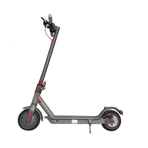 New Design OEM Citysports Electric Scooter