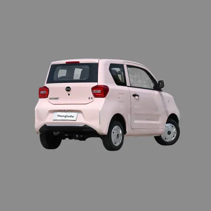 BAW Yuanbao New Energy Electric Mini Car - Factory Price 2024