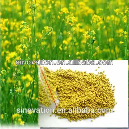 2015 Hot Sale Fresh Natural Bee Pollen