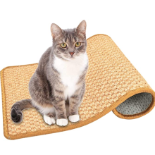 Anti-Slip Scratch Sleeping Mat for Cat Grinding Claws