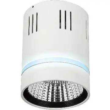 18W cob downlight widely used in Hotels, Supermarket, Restaurant