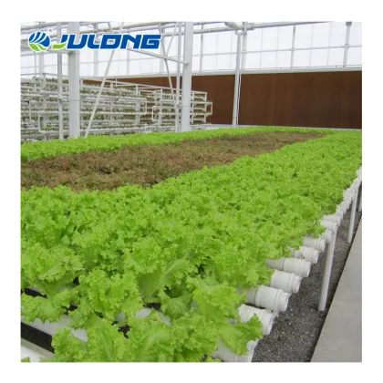 Vertical Farming PVC Tube NFT Pipes Hydroponics System