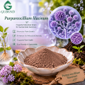 Purpureocellium Lilacinum Powder فطر التحكم البيولوجي